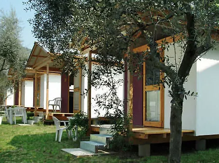 Serenella Bardolino