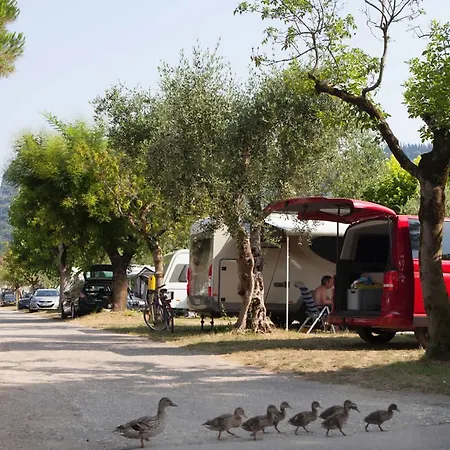 Parque de Campismo Serenella